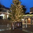 田園調布駅前の大きなクリスマスツリーです。