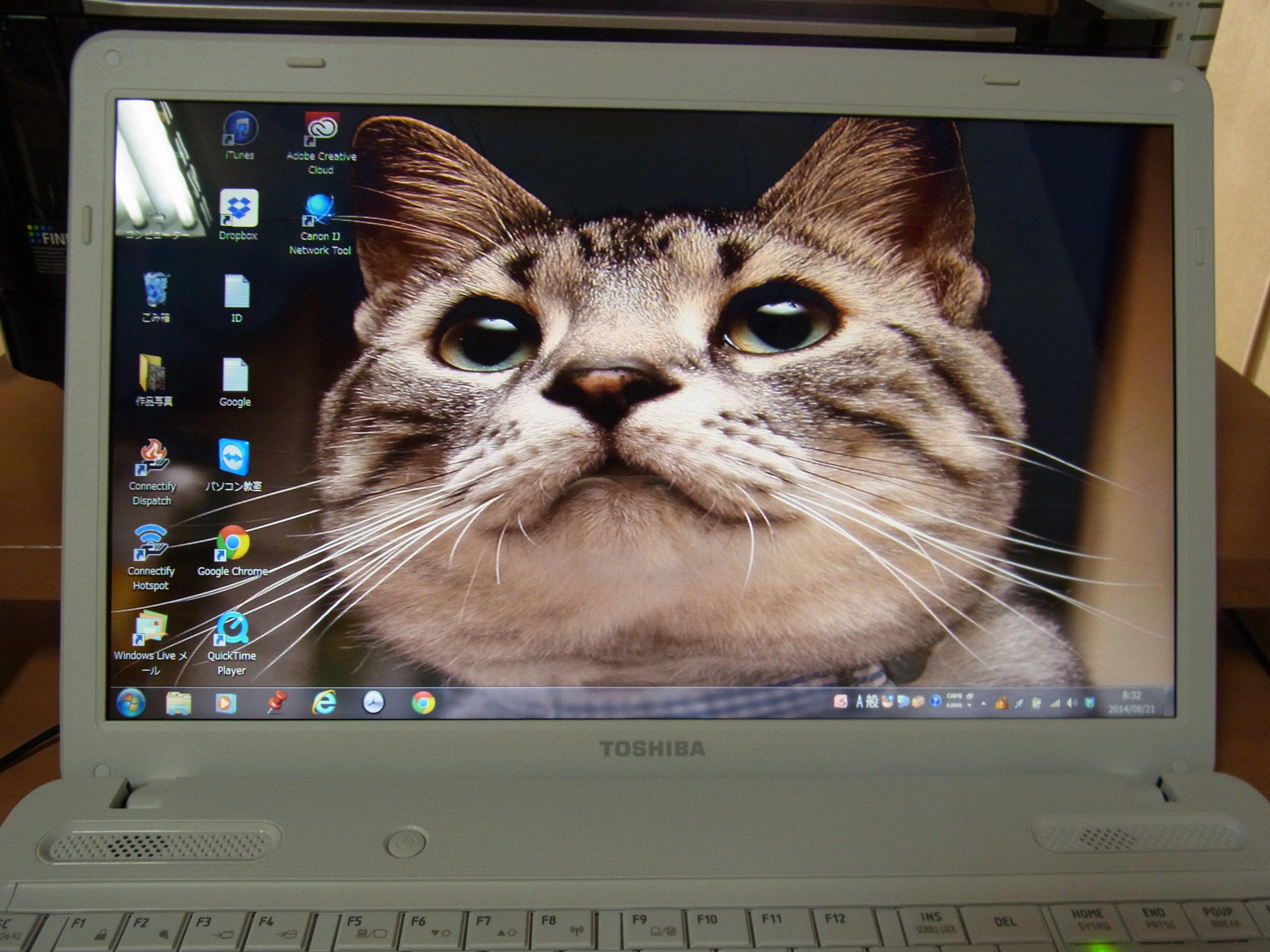 myパソコンのトップページ猫の顔です。