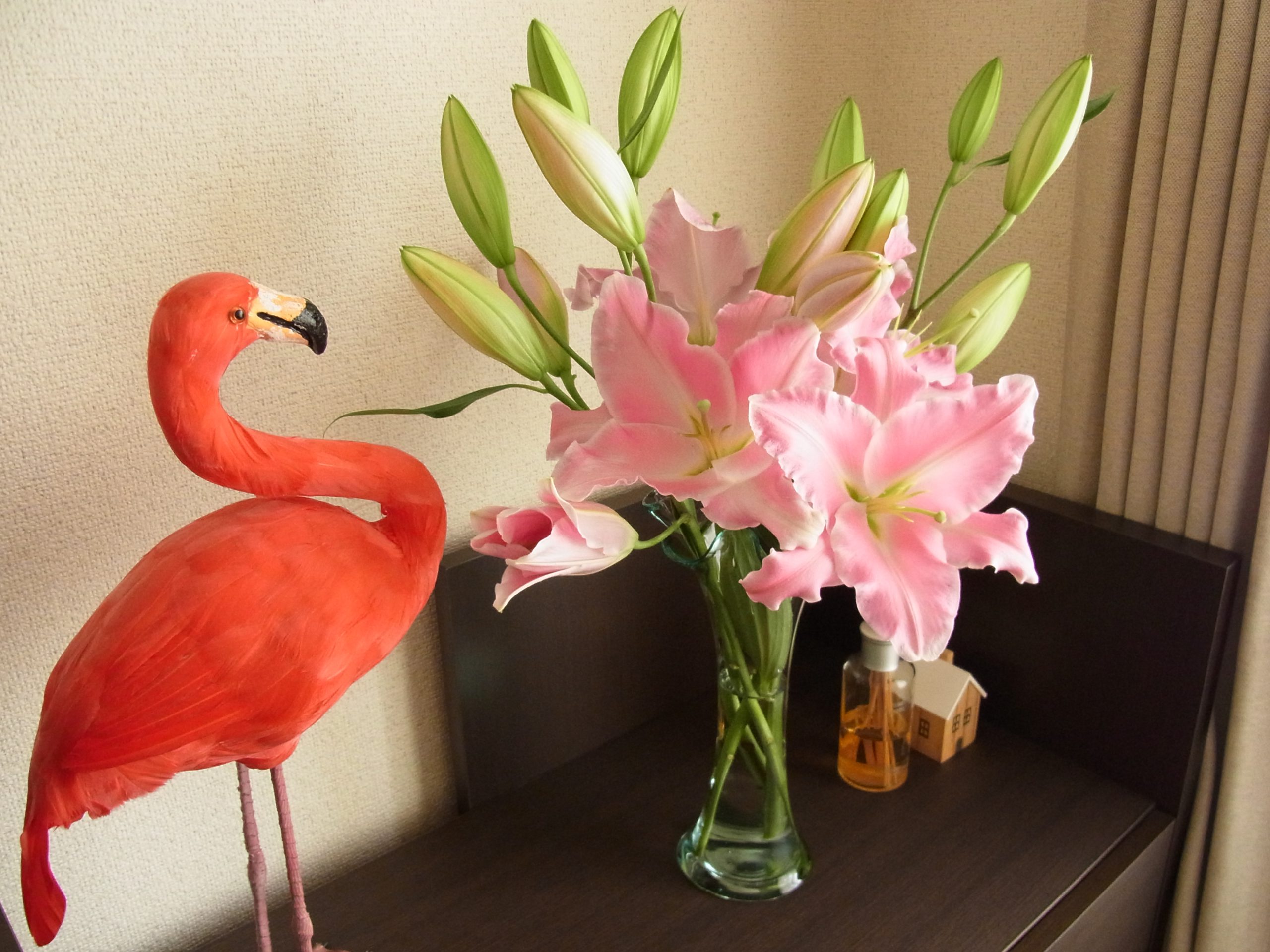 お部屋に飾ってあるピンクの百合が大きく咲いています。