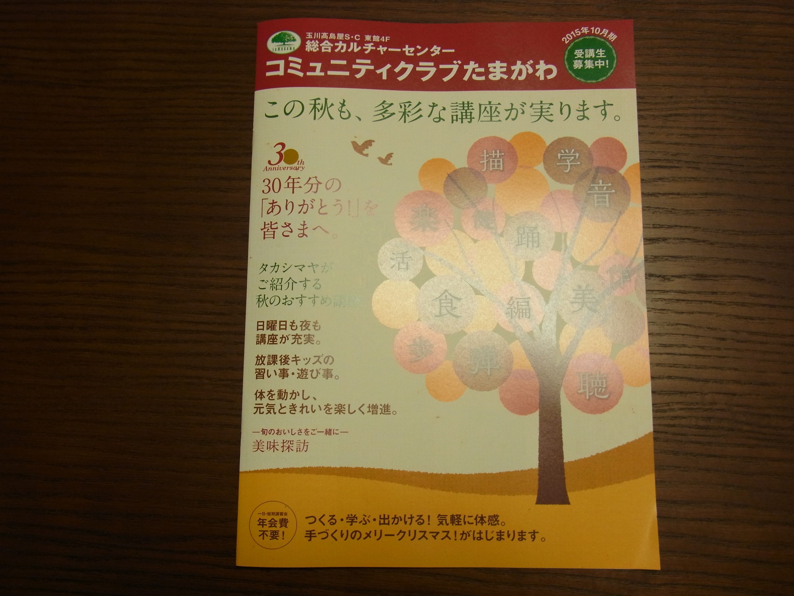 二子玉川で10月生の募集の、木がデザインされた秋らしい新しいパンフレットです。